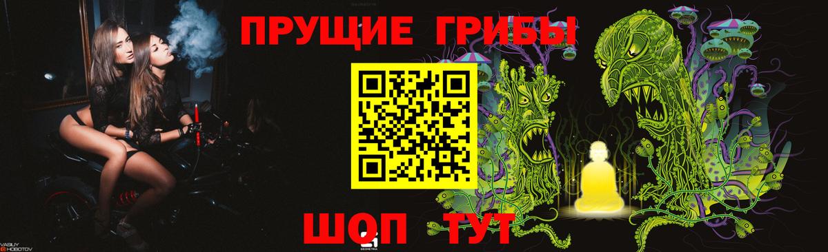 Псилоцибиновые грибы мицелий Дзержинск